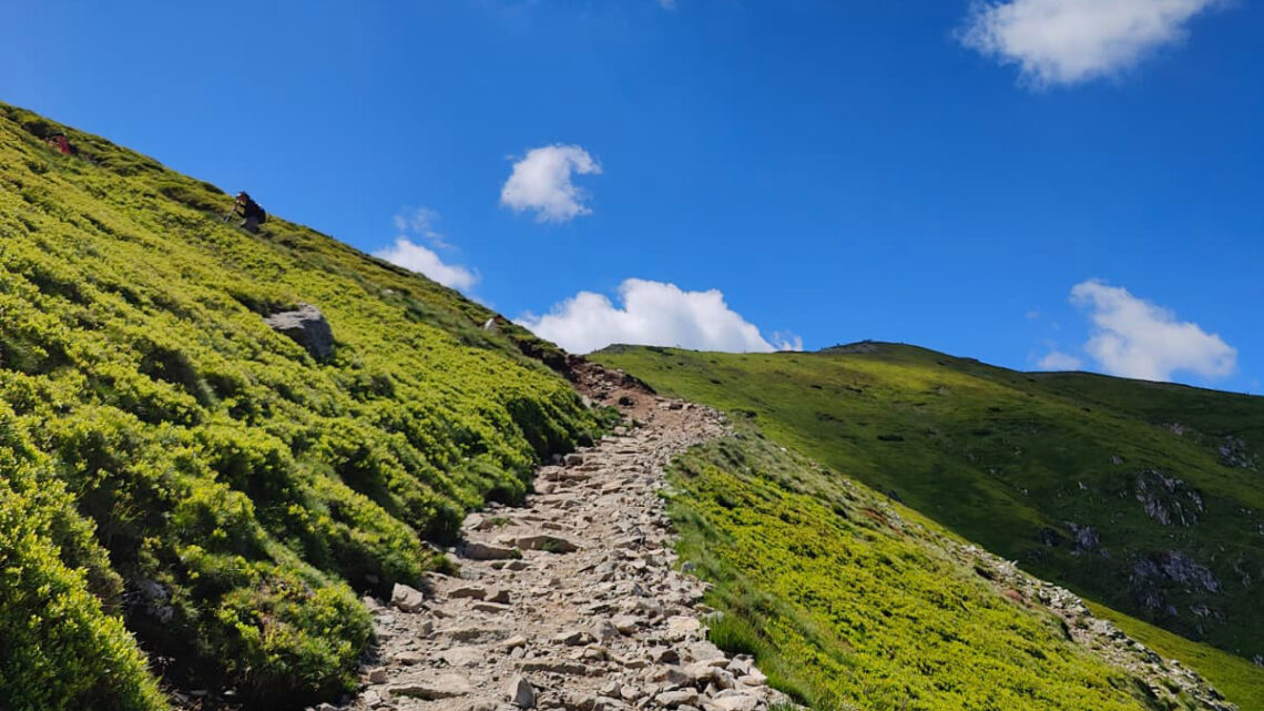 tatry trening