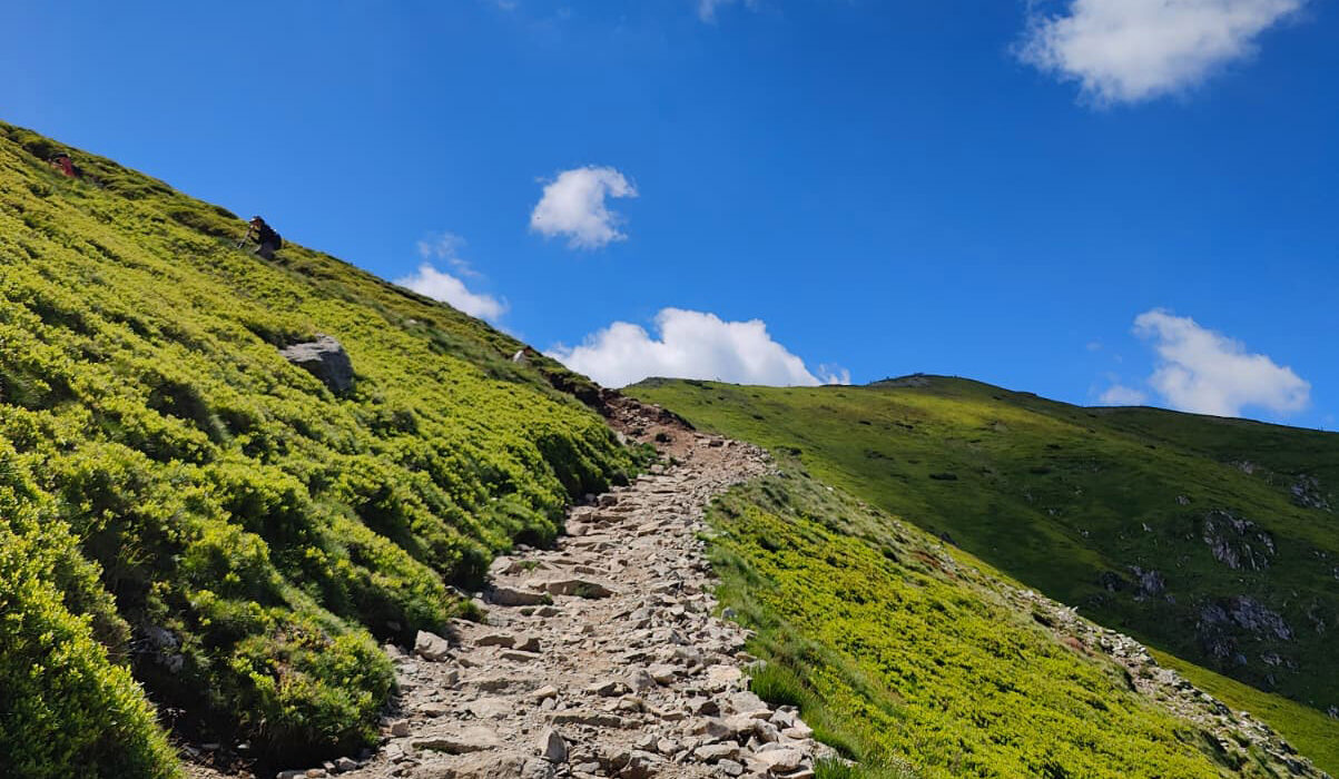 tatry trening